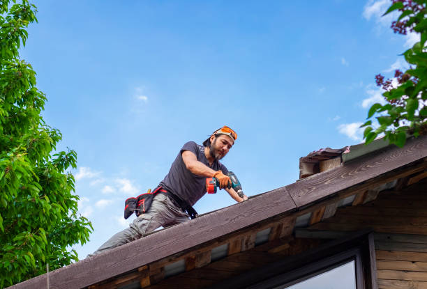 Fast & Reliable Emergency Roof Repairs in Colonial Heights, VA